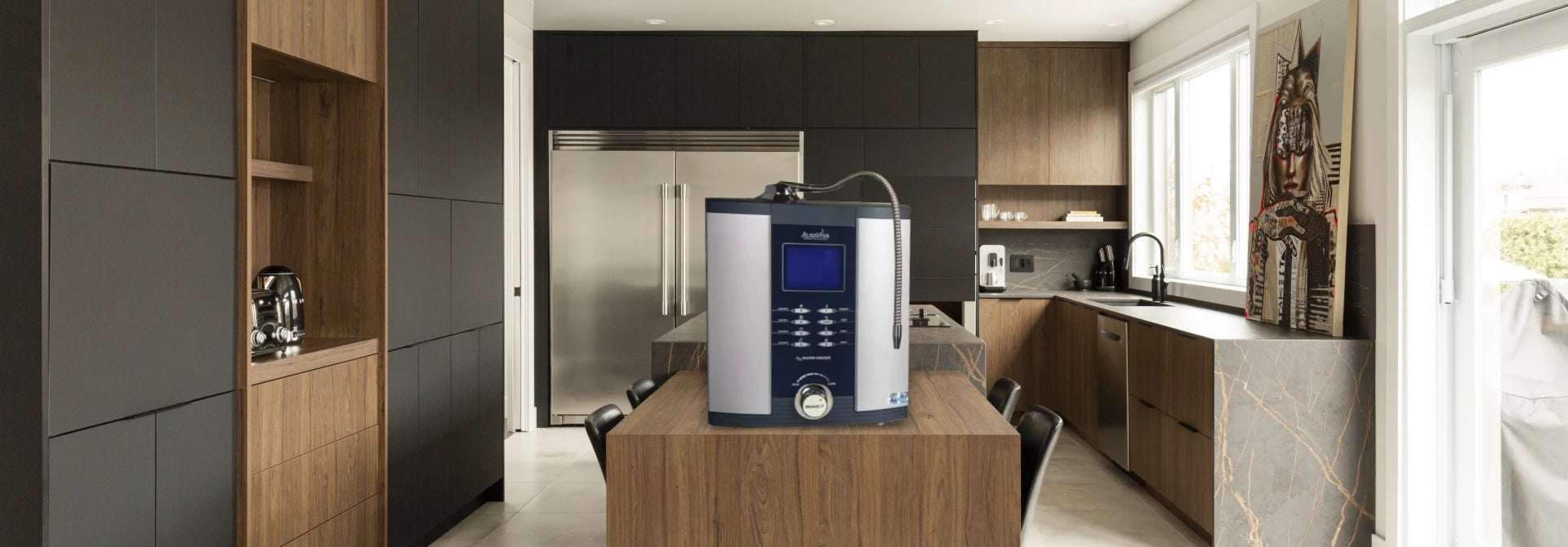 Water Ionizers