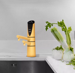 Delphi H2 Under Sink Water Ionizer-Gold. www.AquaBreezeStore.com