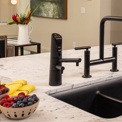 Delphi H2 Under Sink Water Ionizer-Black. www.AquaBreezeStore.com