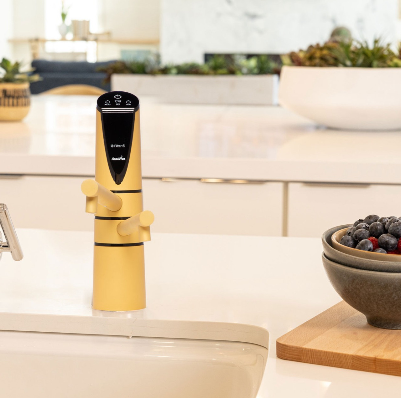 Delphi H2 Under Sink Water Ionizer-Gold. www.AquaBreezeStore.com