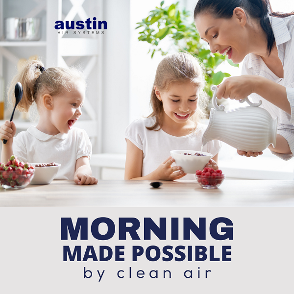 Buy Austin Air Bedroom Machine at Best Price