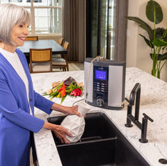 AlkaViva Profile water filter ionizer