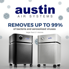 Buy Austin Air HealthMate Air Purifier removes viruses