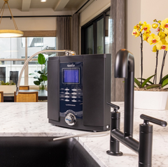 Vesta H2 Water Ionizer (9-Plates)